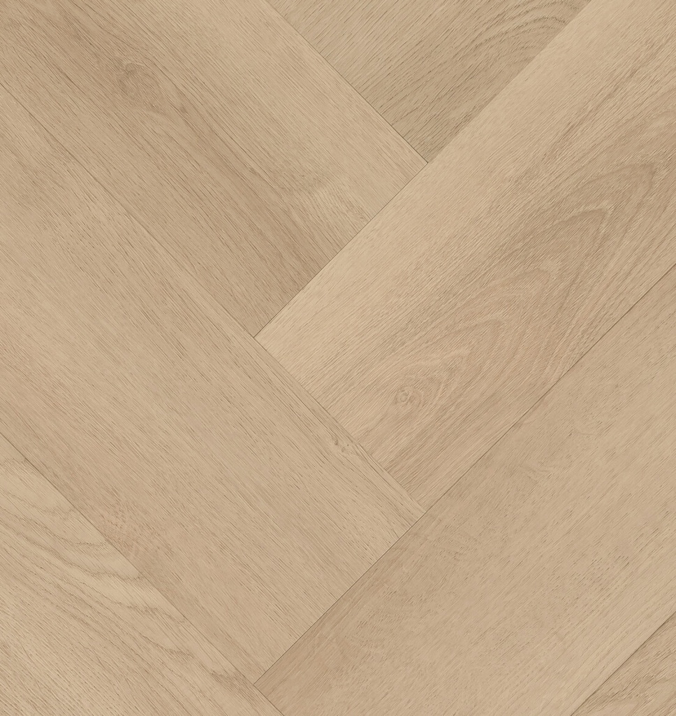 Clermont Visgraat XL 77825 (1)