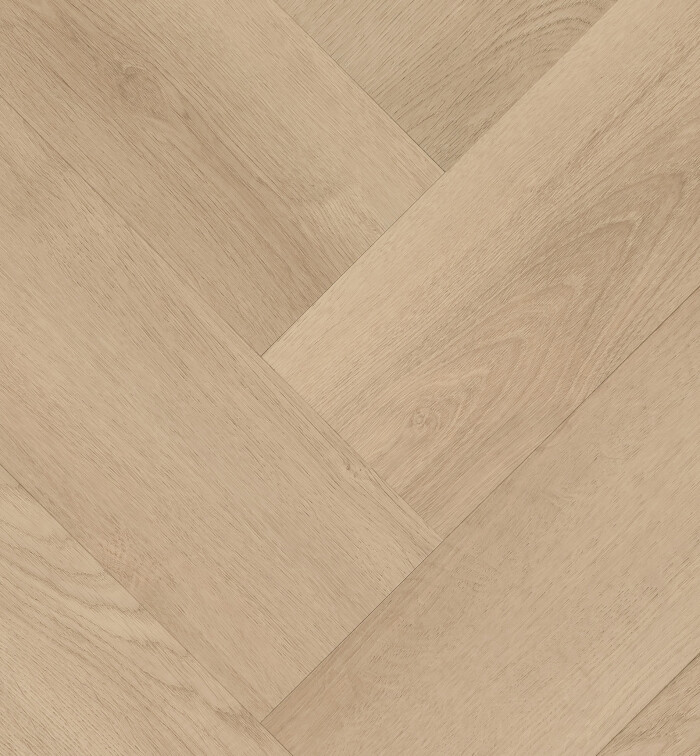 Clermont Visgraat XL 77825 (7)
