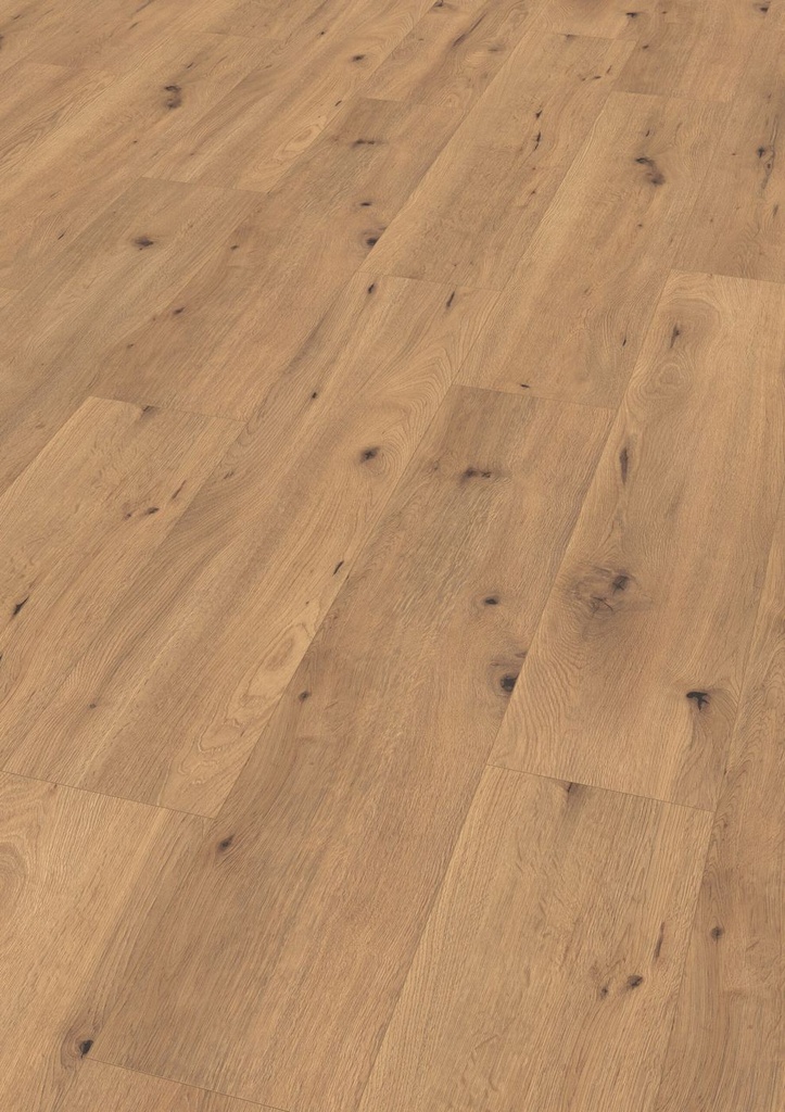 Aqua Large V4 8mm Drift Oak 1