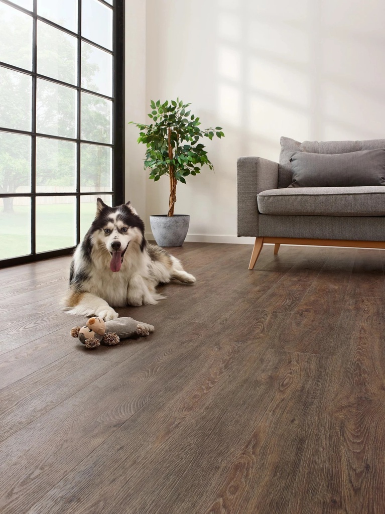 Coretec The Essentials Jasper Oak 01 Plank XL Click (2)