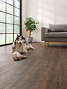 Coretec The Essentials Jasper Oak 01 Plank XL Click (2)