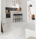 Coretec The Essentials Painted Oak 02 Plank Click (2)