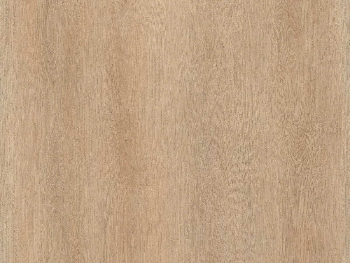 Calitex Desert Oak Plank XL Dryback (1)
