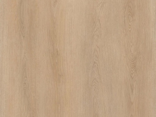 Calitex Desert Oak Plank XL Dryback (1)