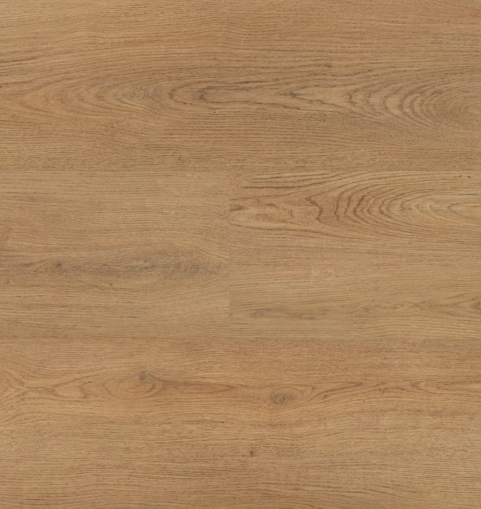 Hebeta Chablis 54859 Plank XL Dryback (1)