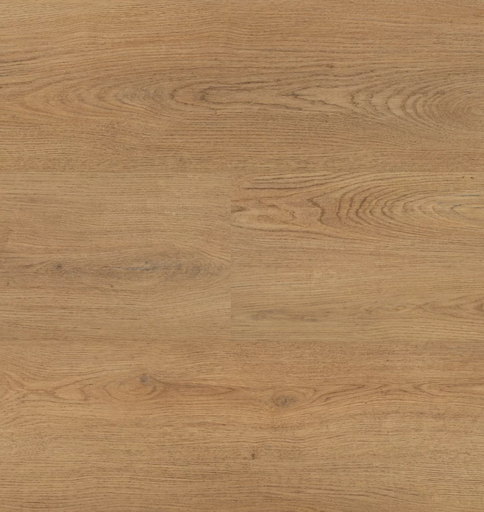 Hebeta Chablis 54859 Plank XL Dryback (1)