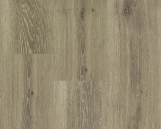 Hebeta Chamonix 54813 Plank XL Dryback (1)