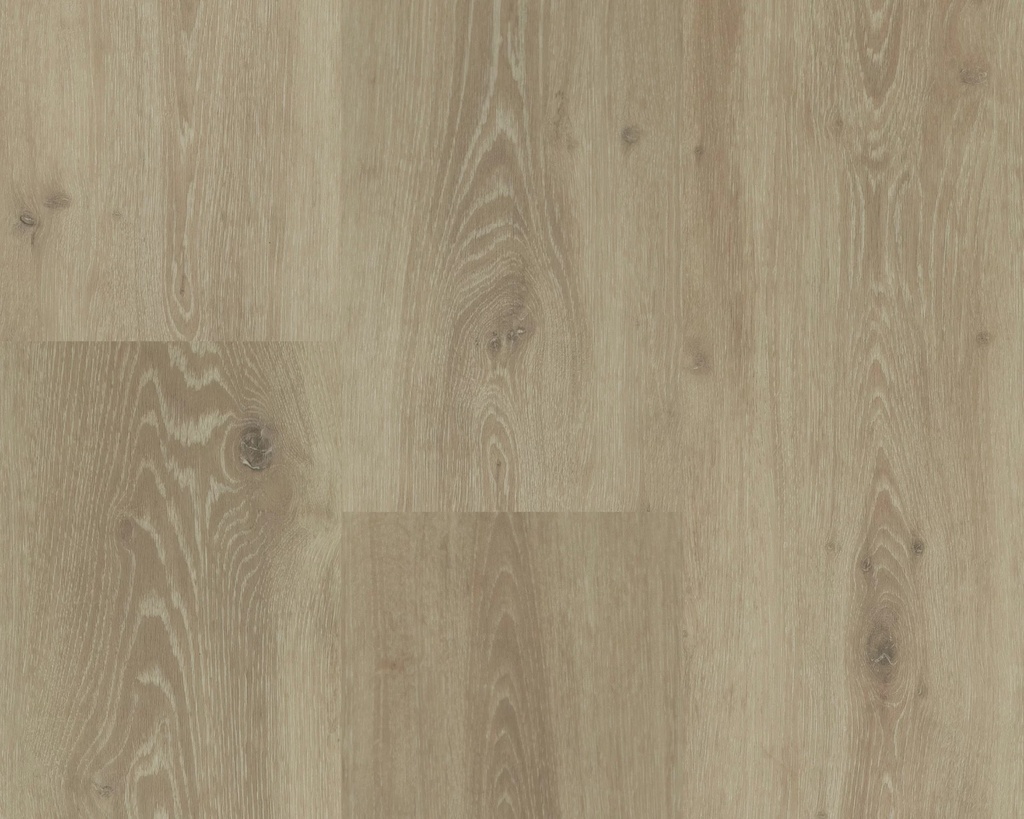 Hebeta Chamonix 54804 Plank XL Dryback (1)