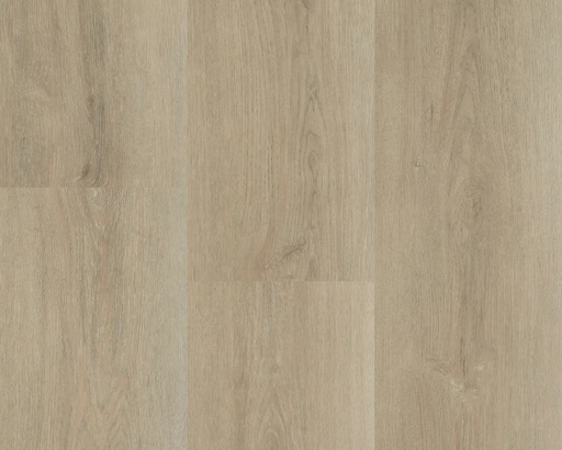 Hebeta Charente 5547 Plank XL Click (1)