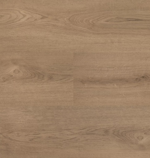 Hebeta Clermont 54824 Plank XL Dryback (1)
