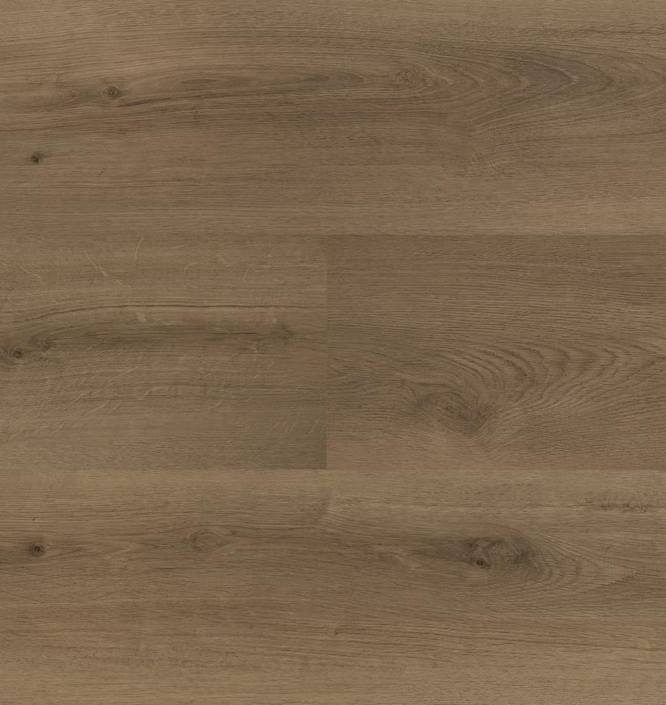 Hebeta Clermont 54826 Plank XL Dryback (1)