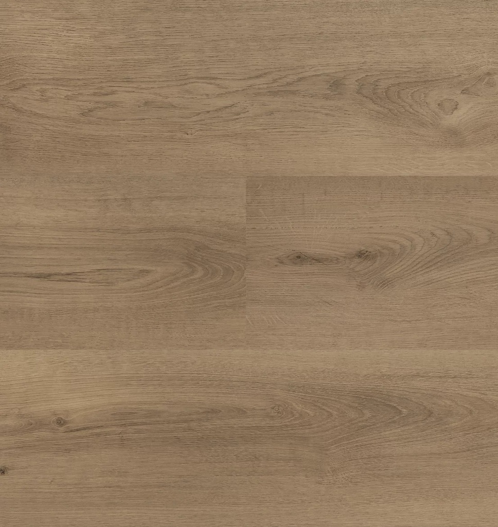 Hebeta Clermont 55825 Plank XL Click (1)