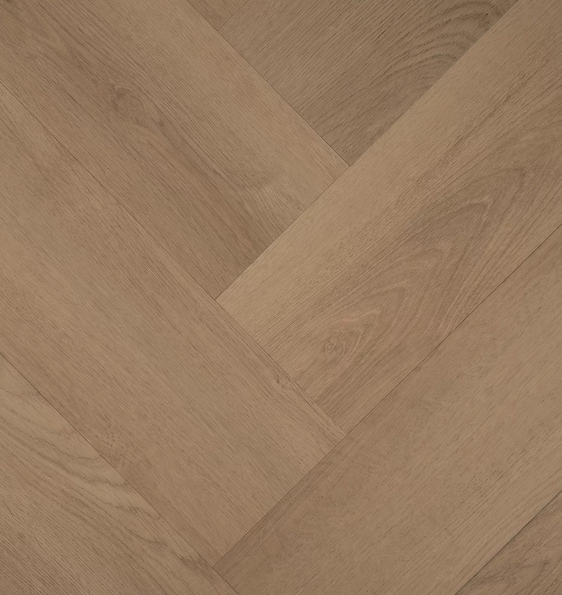 Hebeta Clermont 77824 Visgraat Dryback (1)