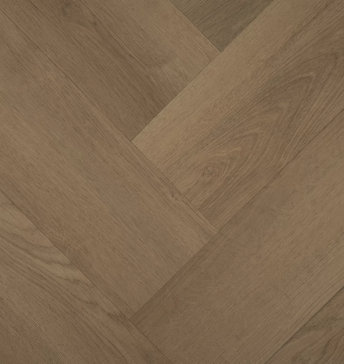 Hebeta Clermont 77826 Visgraat Dryback (1)