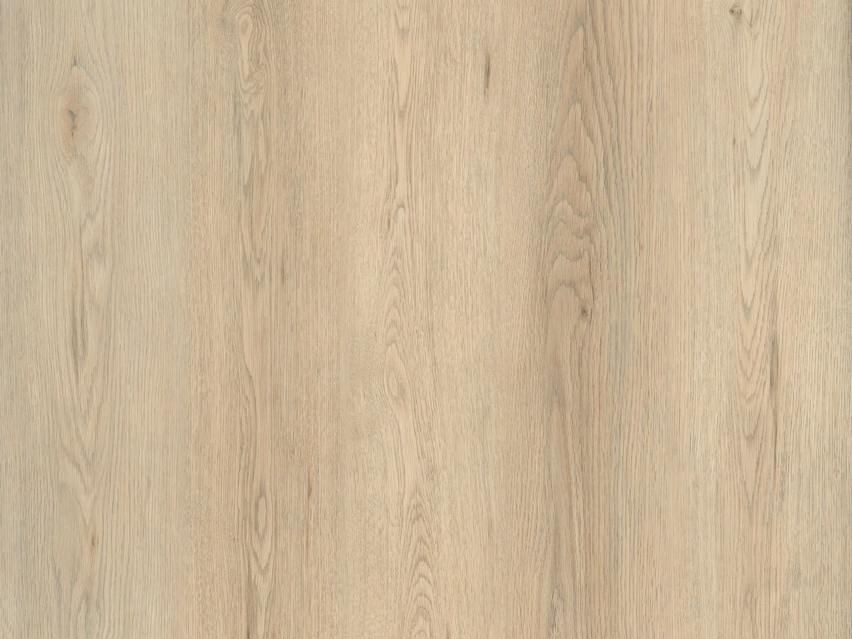 Calitex Excelsior Plank XL Dryback (1)