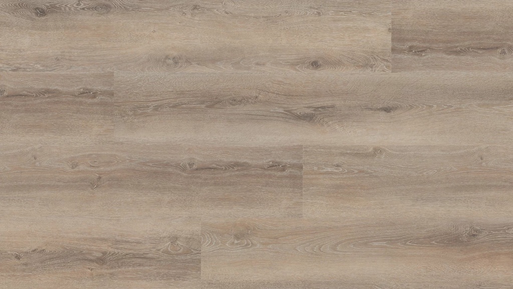 Hebeta Progress 55817 Plank XL Click (1)