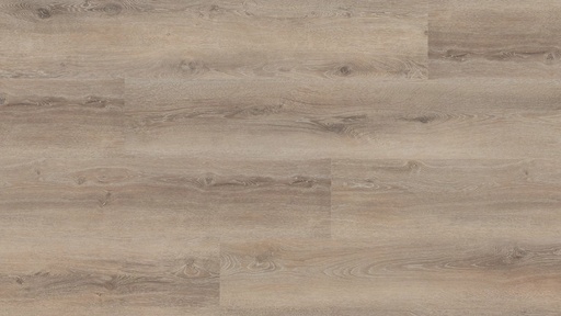 Hebeta Progress 55817 Plank XL Click (1)