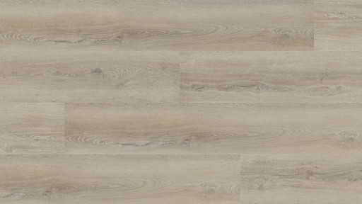 Hebeta Progress 55816 Plank XL Click (1)