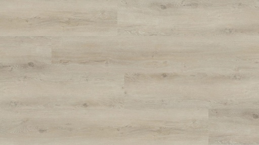 Hebeta Progress 55815 Plank XL Click (1)