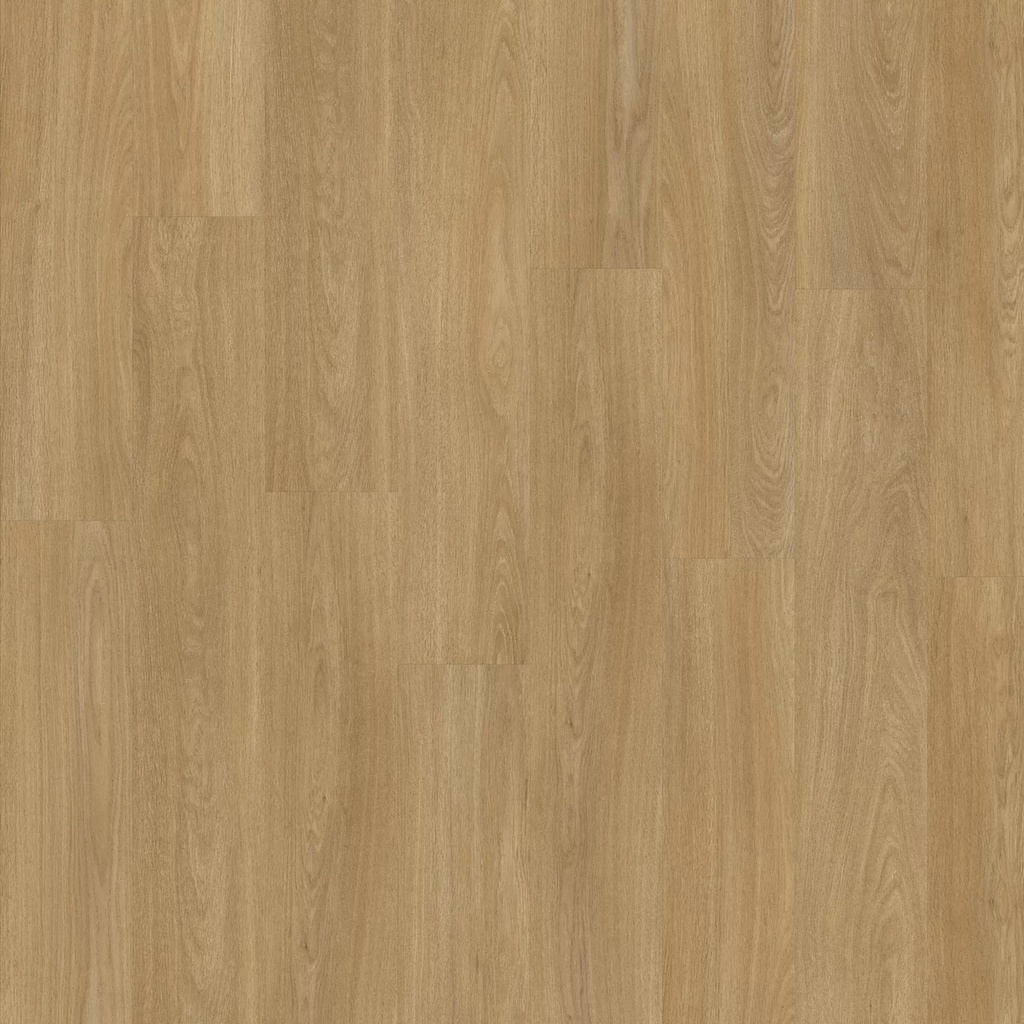 Lifestyle Interior Elemental 85833 Plank Click (1)