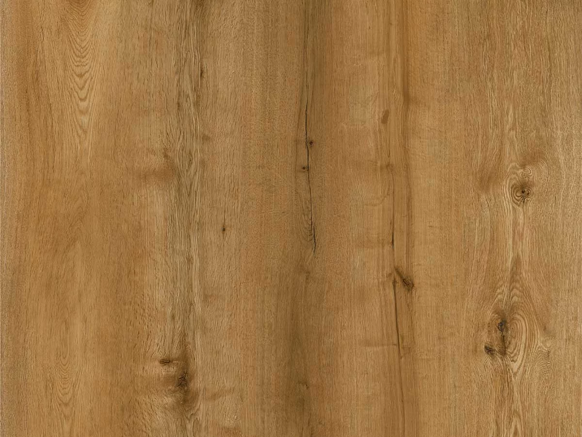 Calitex Gold Oak Plank XL Click (1)