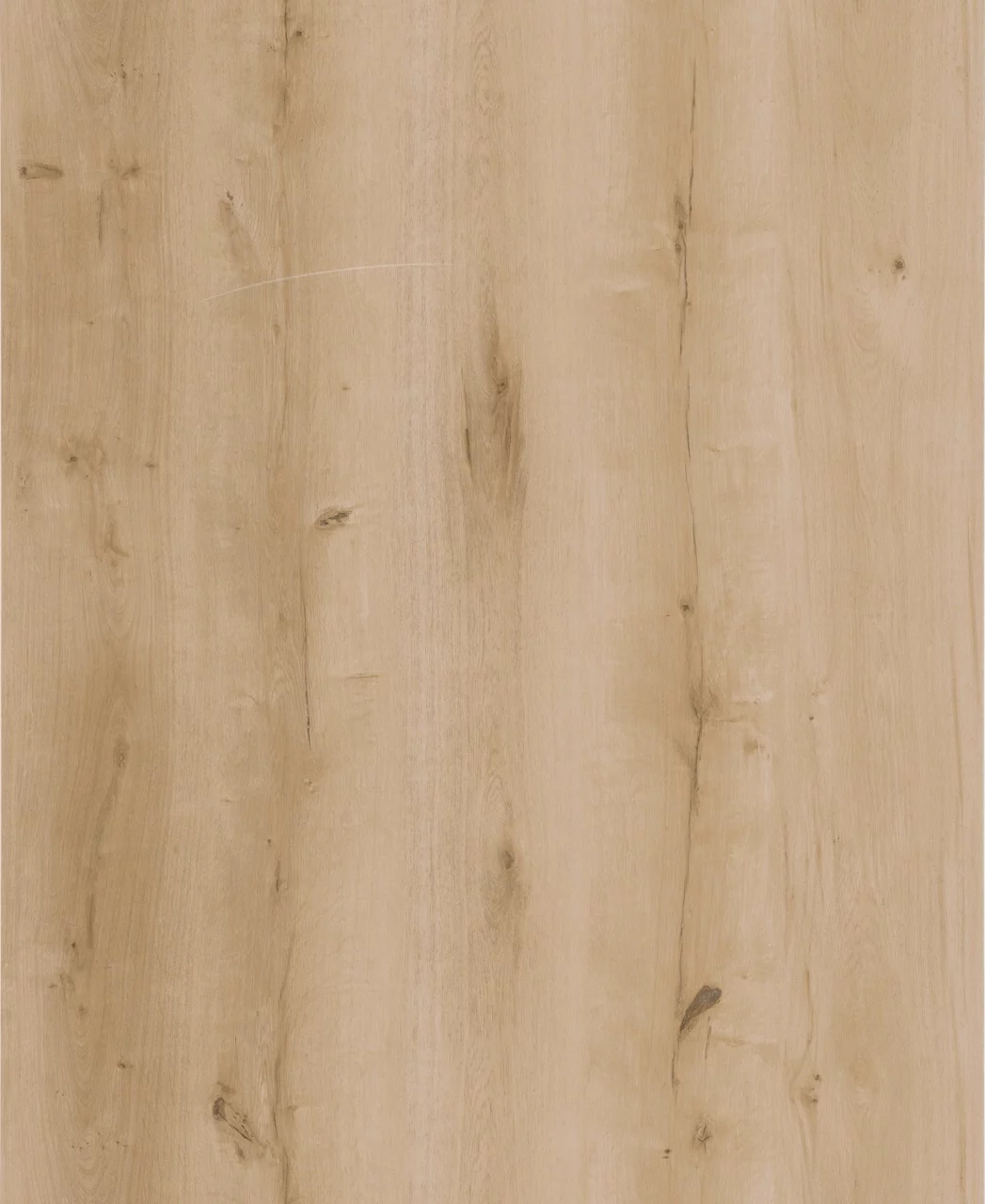 Lifestyle Interior Walk On Me 20611 Plank XL Dryback (1)