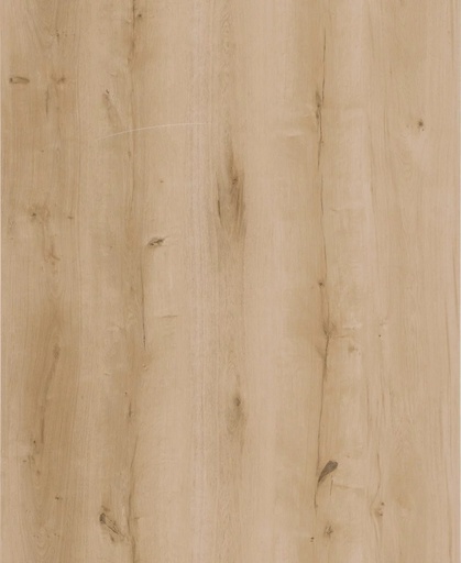 Lifestyle Interior Walk On Me 20611 Plank XL Dryback (1)