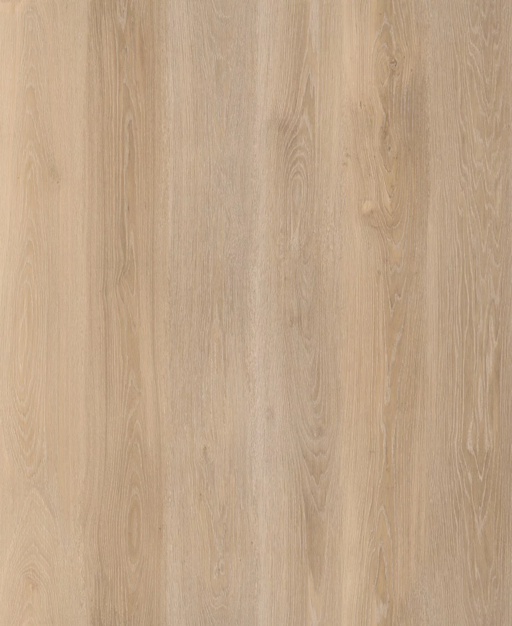 Lifestyle Interior Walk On Me 6678 Plank XL Dryback (1)