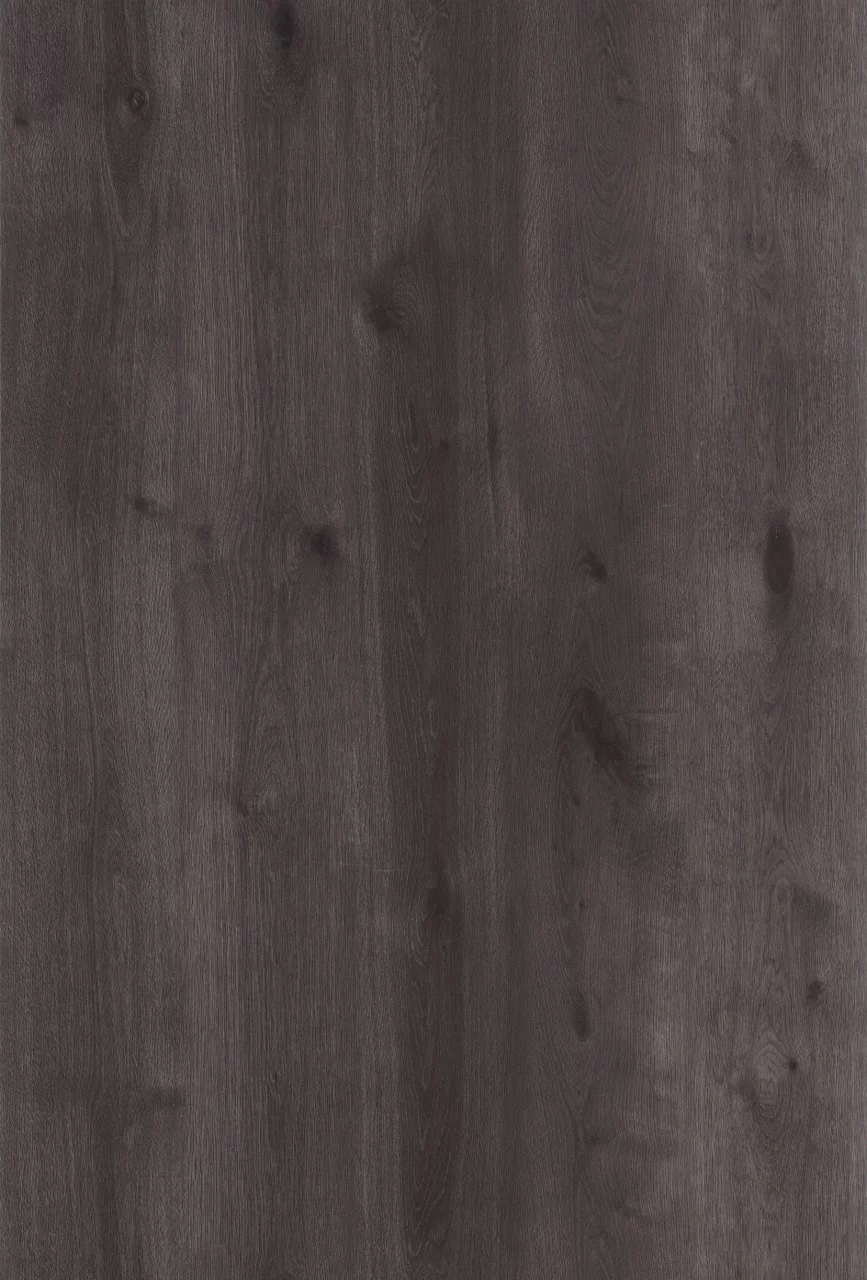 Lifestyle Interior Walk On Me 20755 Plank XL Dryback (1)