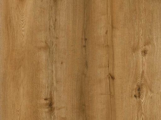 Calitex Gold Plank XL Dryback (1)