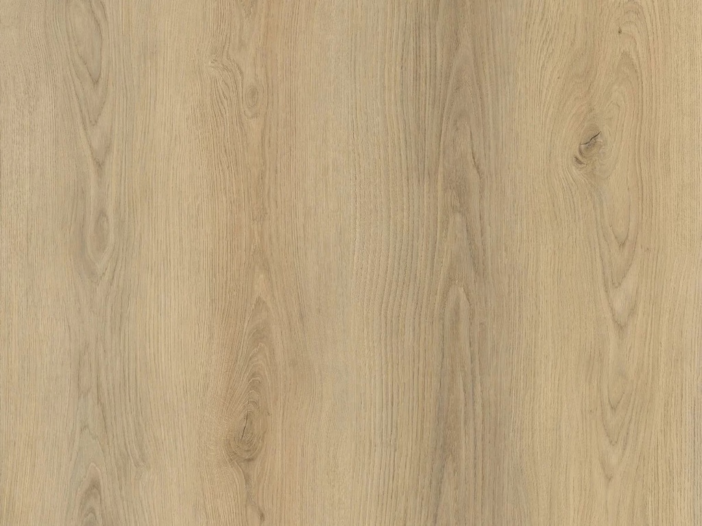 Calitex Hope Plank XL Dryback (1)