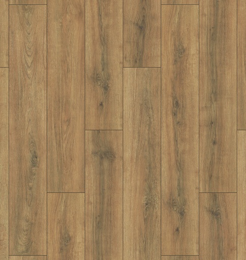 Plank Austin 8-648 (1)