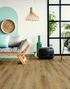 Plank Austin 8-654 (1)