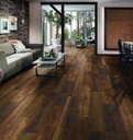 Plank Chicago 10-411 (3)