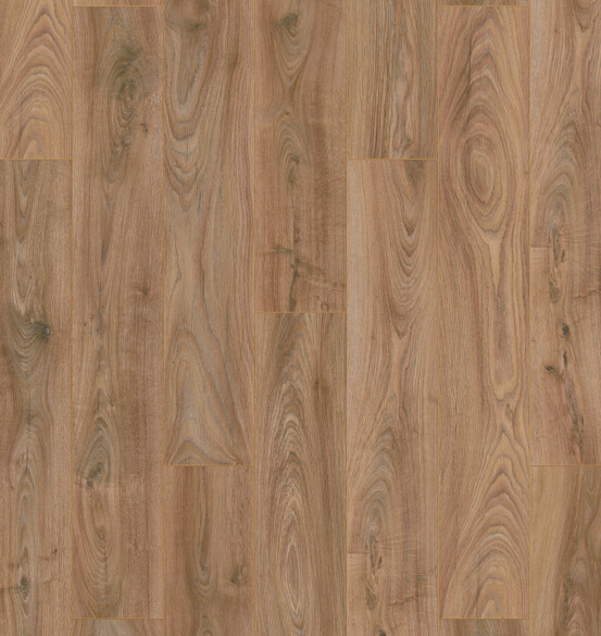 Plank Chicago 10-5947 (1)
