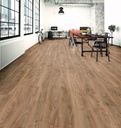 Plank Chicago 10-5947 (4)