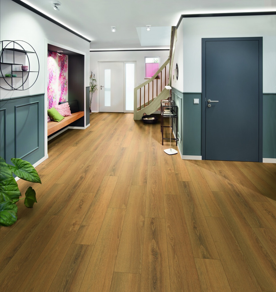 Plank Miami 8-649 (4)