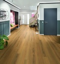 Plank Miami 8-649 (4)