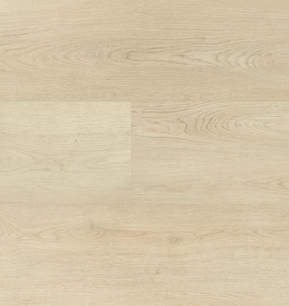 Chablis XL Plank 54854 (1)