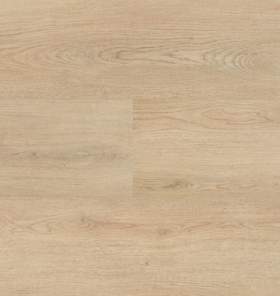 Chablis XL Plank 54857 (1)