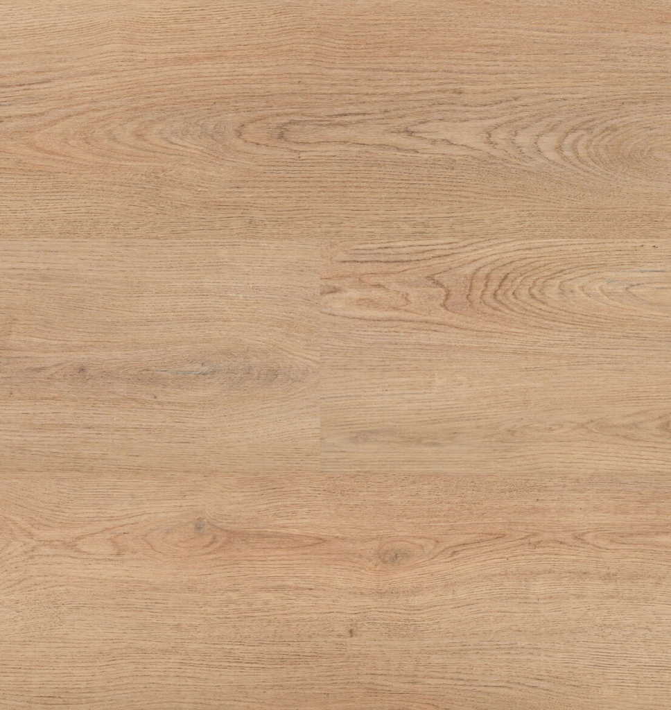 Chablis XL Plank 54859 (1)