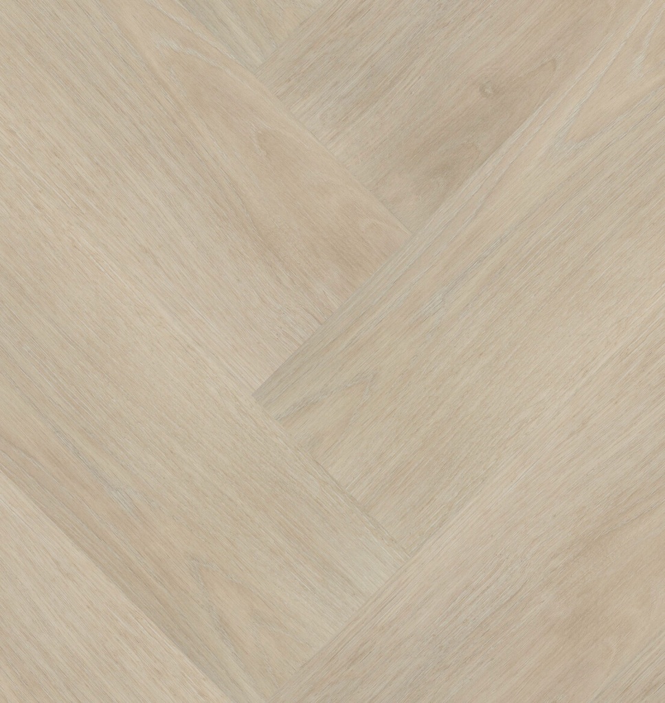 Chapelle Visgraat XL 77841 (1)