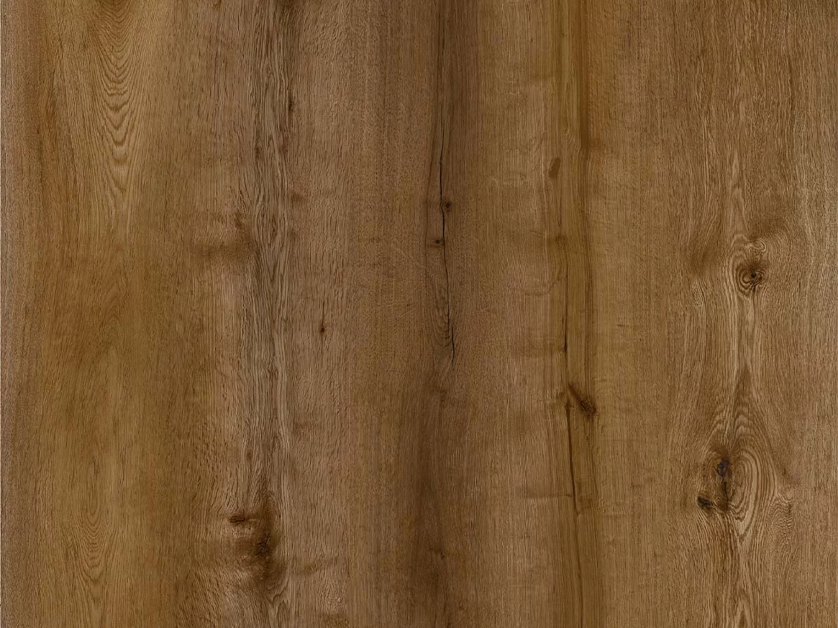 Calitex Sugar Plank XL Dryback (1)