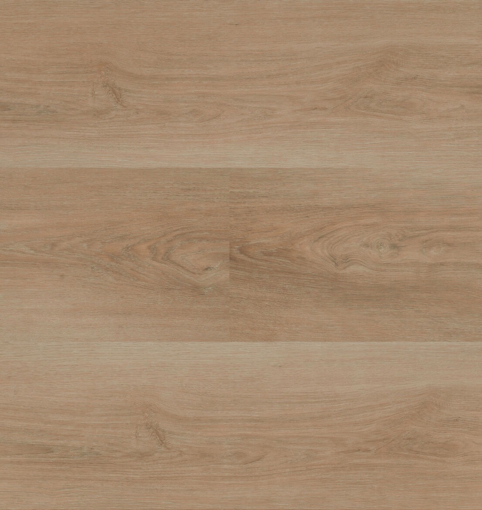 Charente XL Plank 5461 (1)