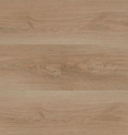 Charente XL Plank 5461 (1)