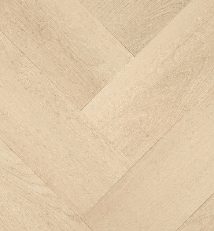 Clermont Visgraat XL 77821 (5)