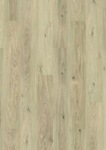 [628] Plank Austin 8-628