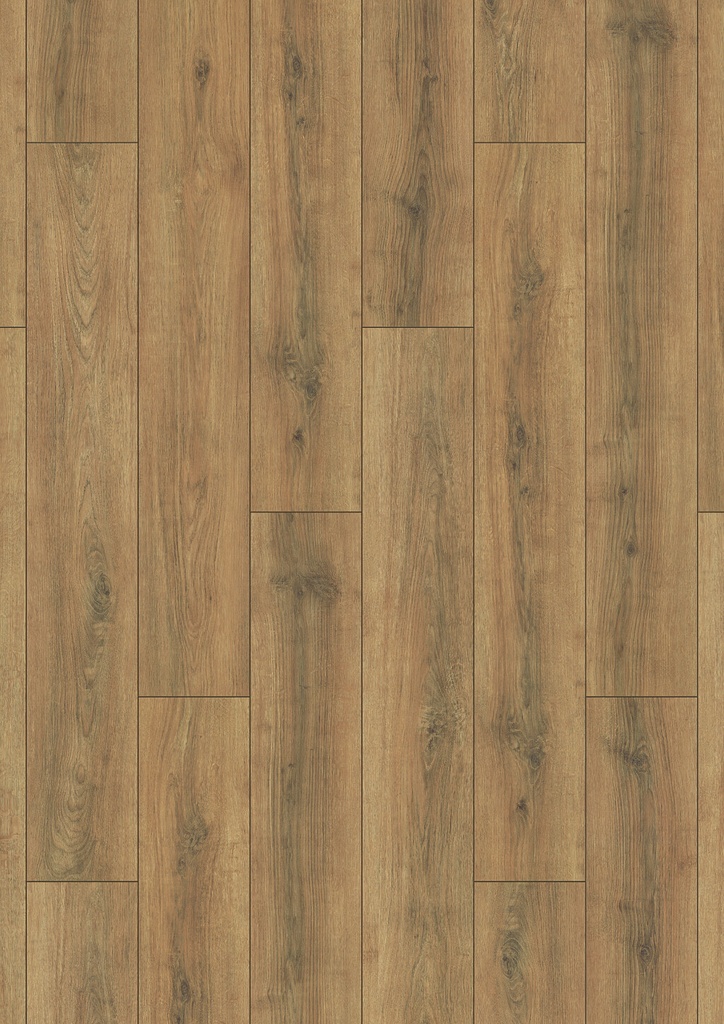 [648] Plank Austin 8-648