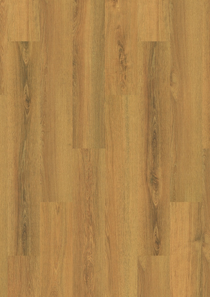 [649] Plank Miami 8-649