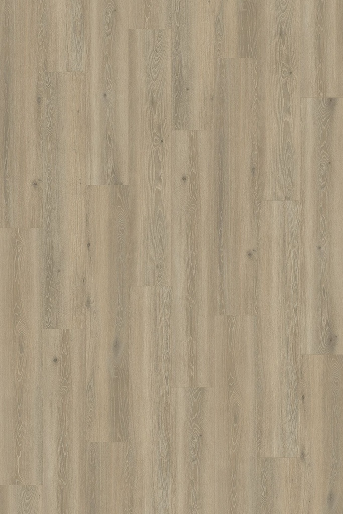 Vinywood 13 Plank / 730 / Hout Grijs